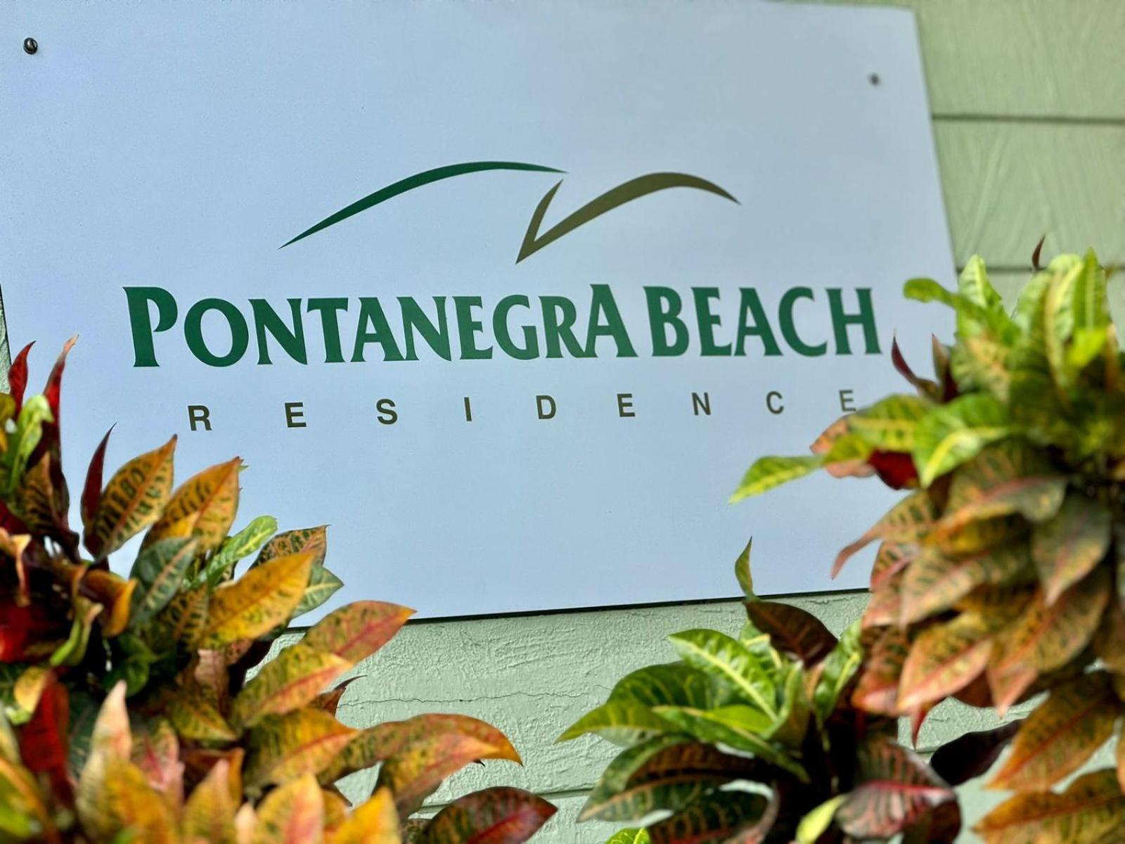 Edy Hospedagens Beira-Mar Flat 310 Com Vista Para O Morro Do Careca, Piscina E Localizacao Privilegiada Natal Zewnętrze zdjęcie